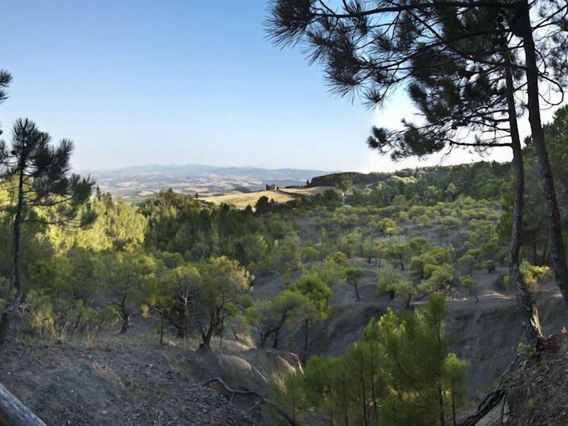 354BC41B74362B3098C14A2218155CE6