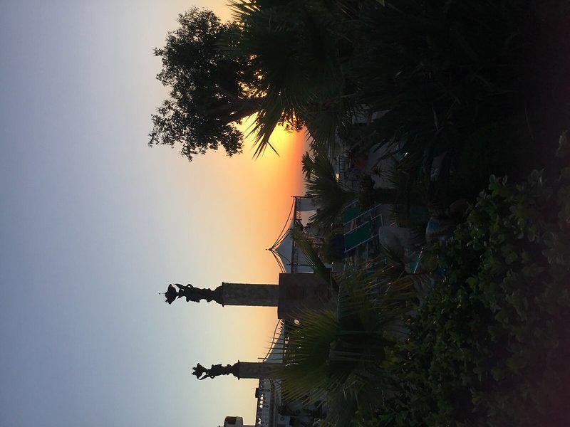 B990F9BCF225ED0B08F11A6F4CC3508F