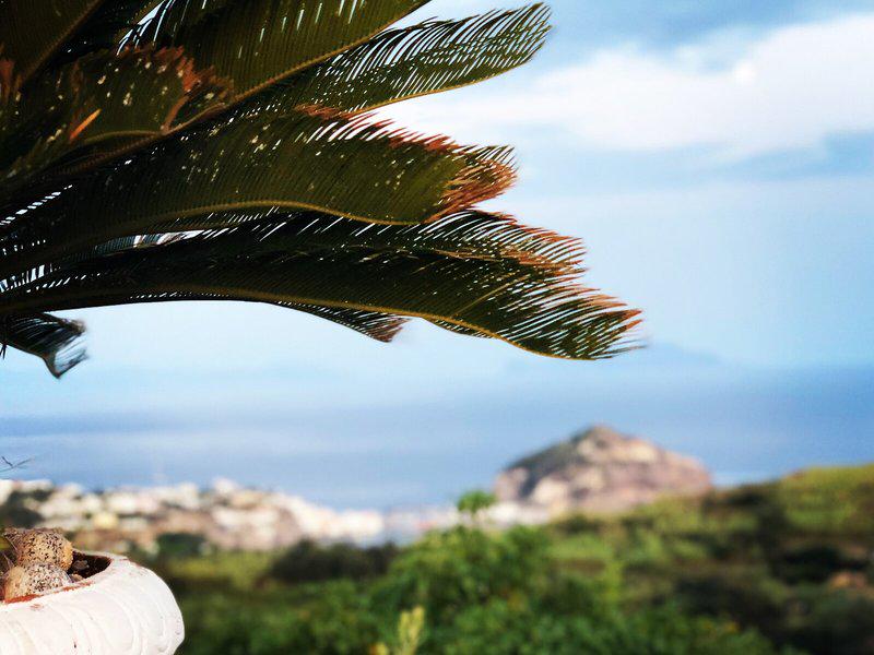 006C703B287E474EBEE9FBD1B2CB64DD