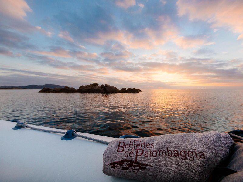 EA8B2AF22963204DA19A9E41A25D7DAF