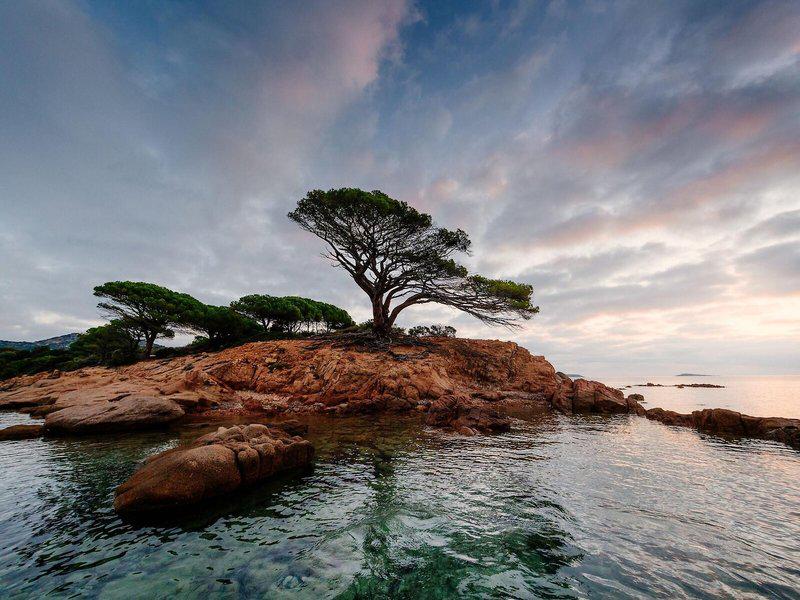 FBE86696D44A849F48AD108924F389D9