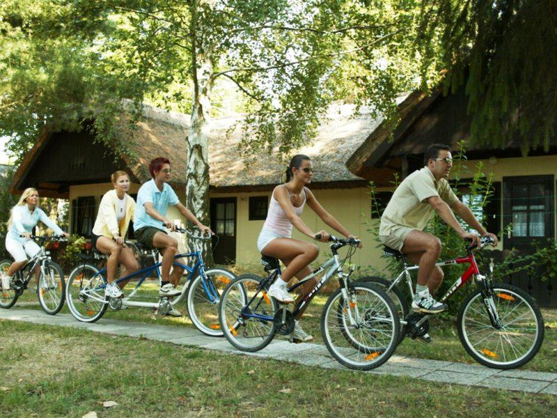 31DB6E1352BC62972B864461B8A36B26