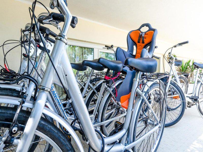 B44215659EB0AE52CDD9BC2D553A3B5F