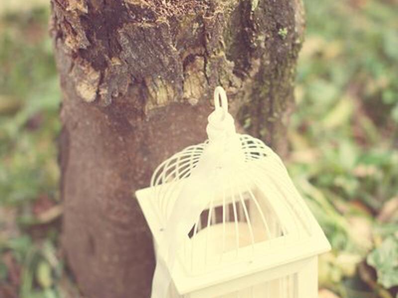 29E17BD28EAC007D7BC5E2B4A5325947