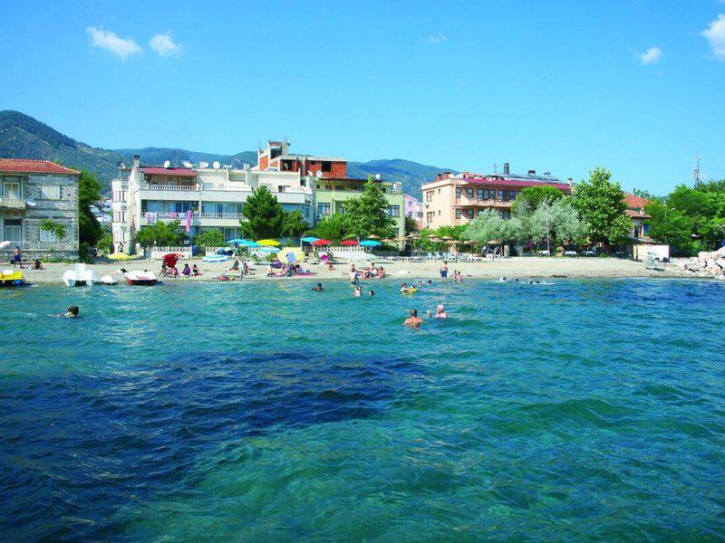 C3CC21EE56A08E59F5CC0AD847967DB0