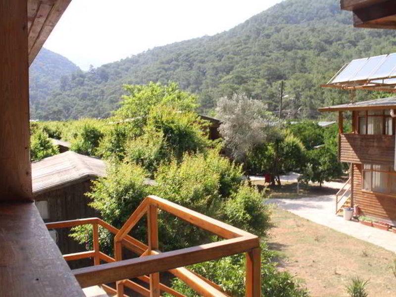 32FBAED7226E1A51AA5FF43B578DEA9D