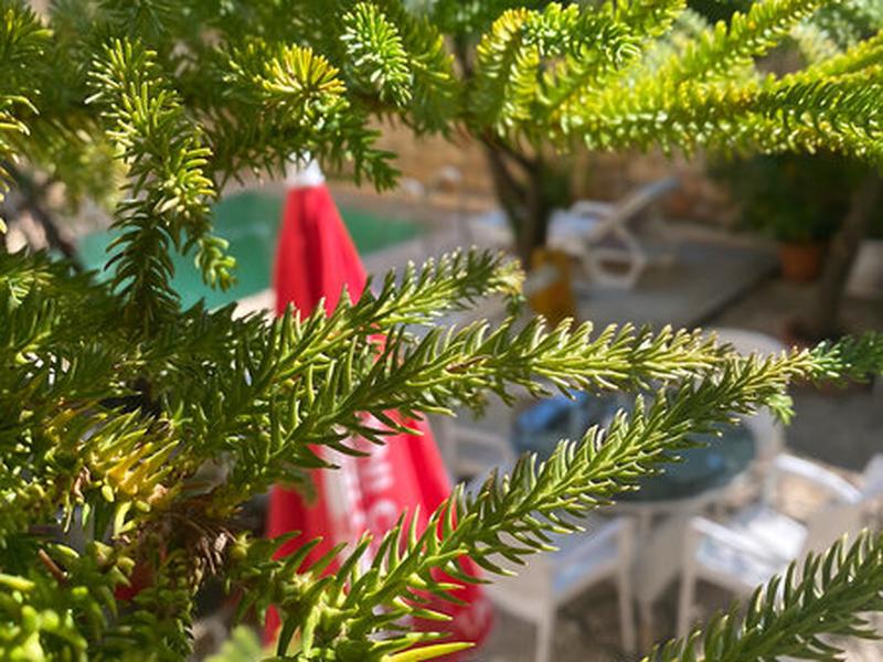 DE482E73D49B725CA5D15C2D2C3EDD5D