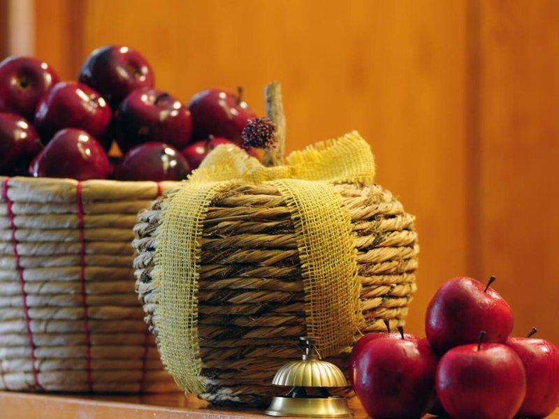 9C2F3725DD73F3FCDECAA1F9C7BDE66E