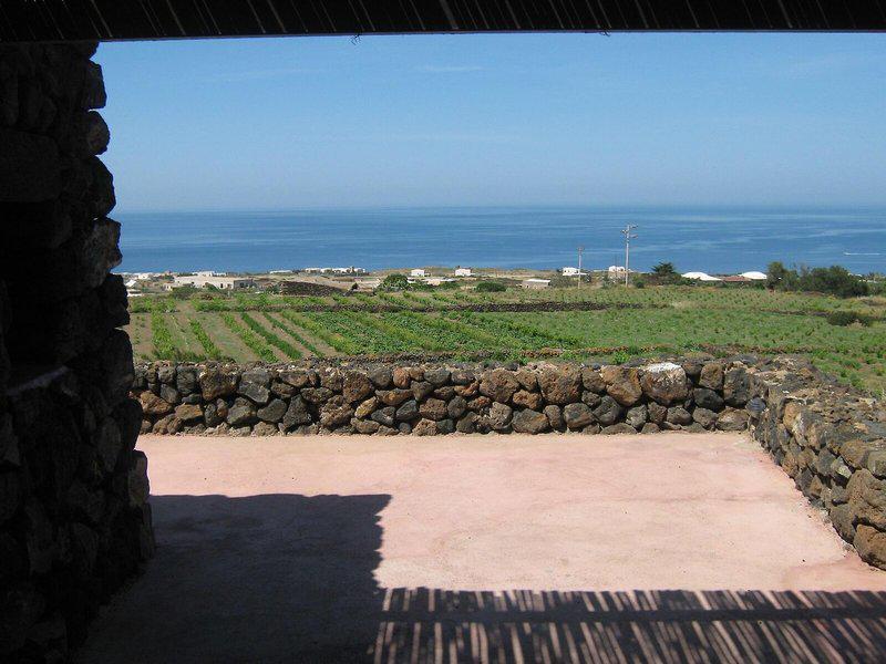 8785A156CD34F1426619B5D5EBFC5946