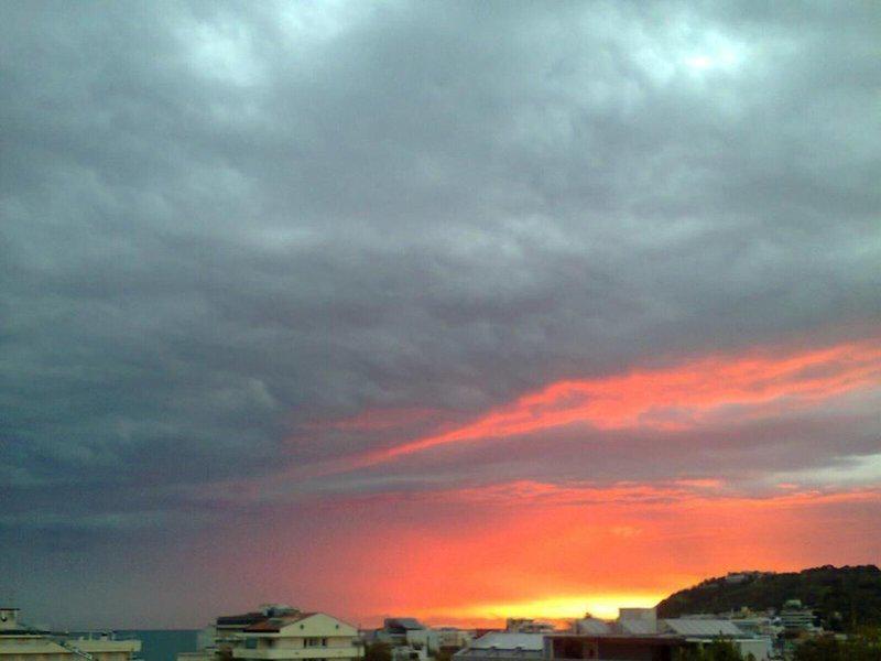 FF5C935584E567BF2D34856B815670DF