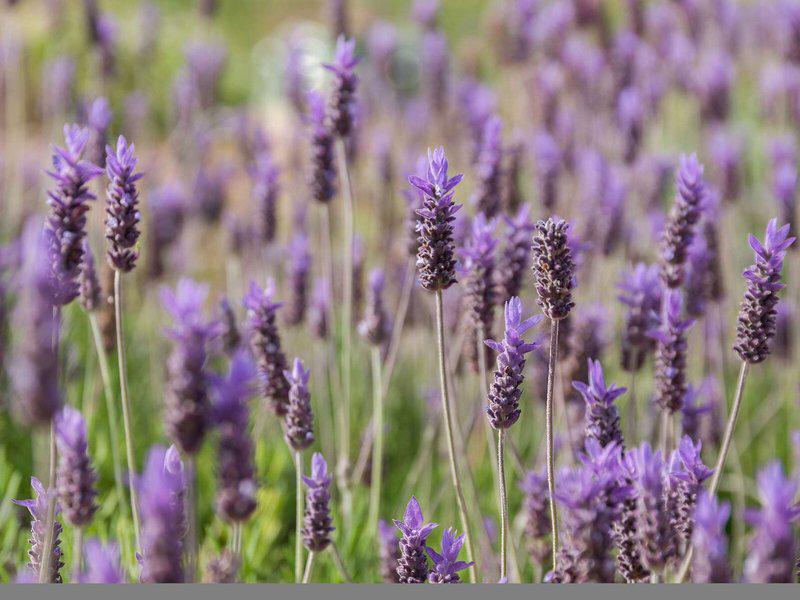 44D961647B02C5AE5BEE597150B7A5F3