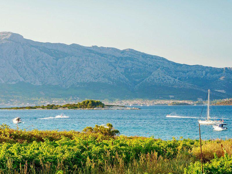 630C3675FA1E32E17211797C4F31CCE9