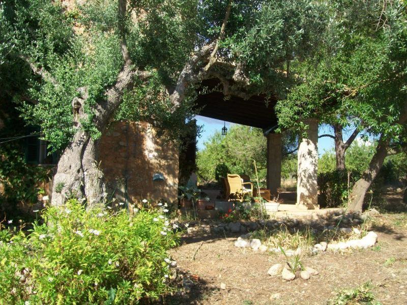 1C35B613BB01C02E1D06C85806A603E2