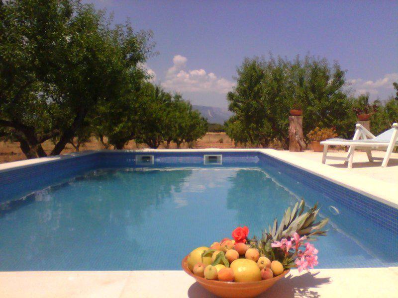 942A8CE43B3589702DC576A290146FAF