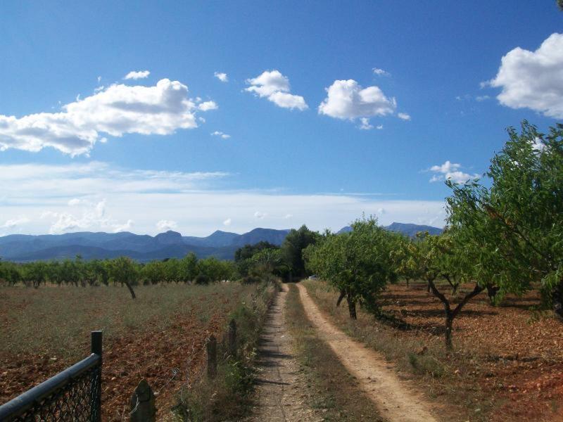 8783FD60650ECA9DE3AE3B0E3A4BB428