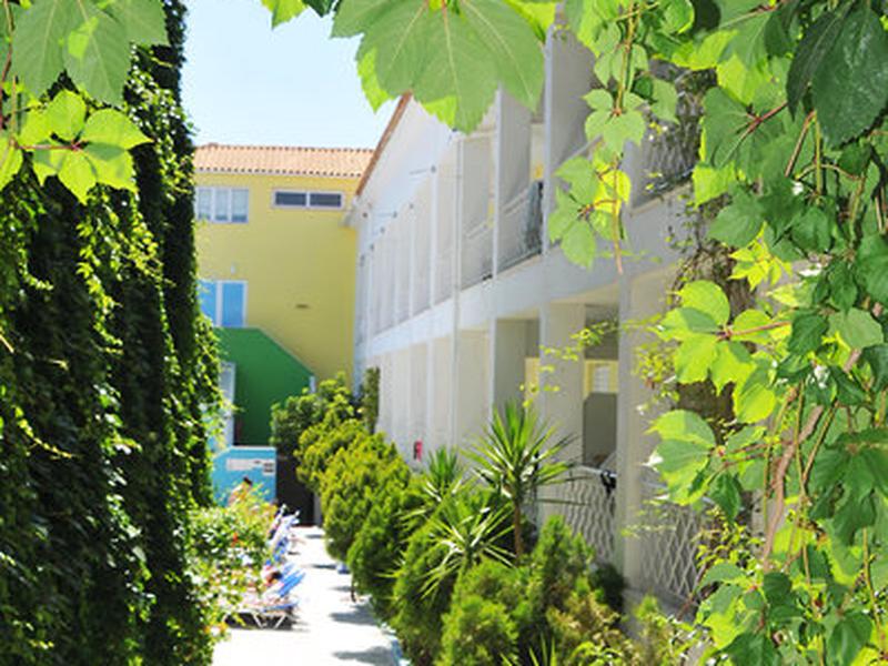 1924C45671C8E036F37D4864104B83D4