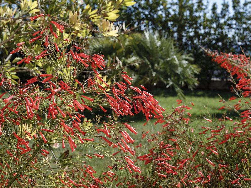 7E2028F6A8F8B7D0AAD6EF6336B794E1