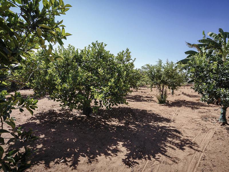 B90A0D5683ECFE35B1B69EB80C70767E