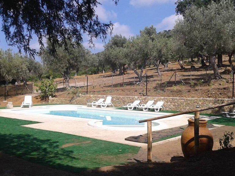 6EC062DEA8FD2BACADE359AF1A1F3FFA