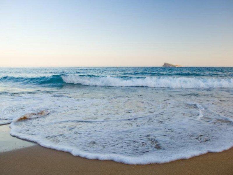 36F9D8AD3B4EC0CA519A099088364D93