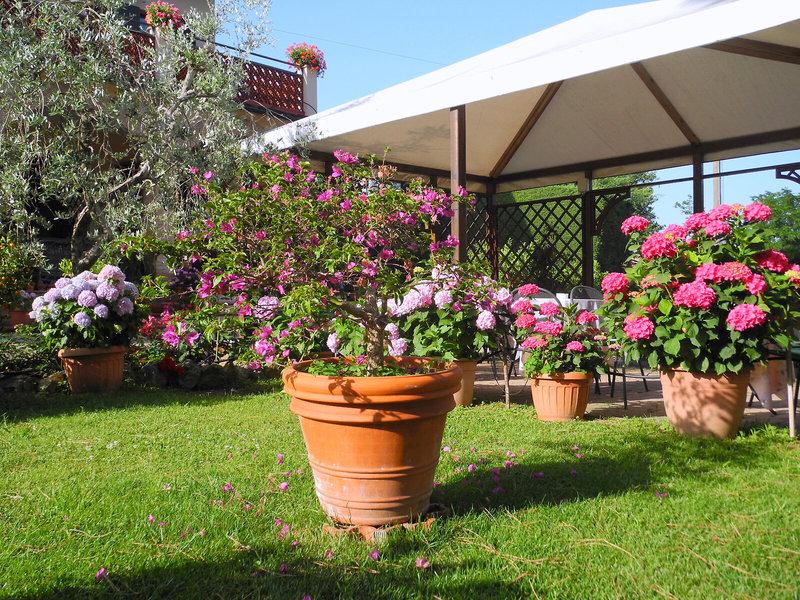 778E510B952B960F902DAF602E859206