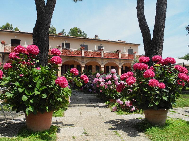 F1470214BD4D73D8CF58E4CC004D2643