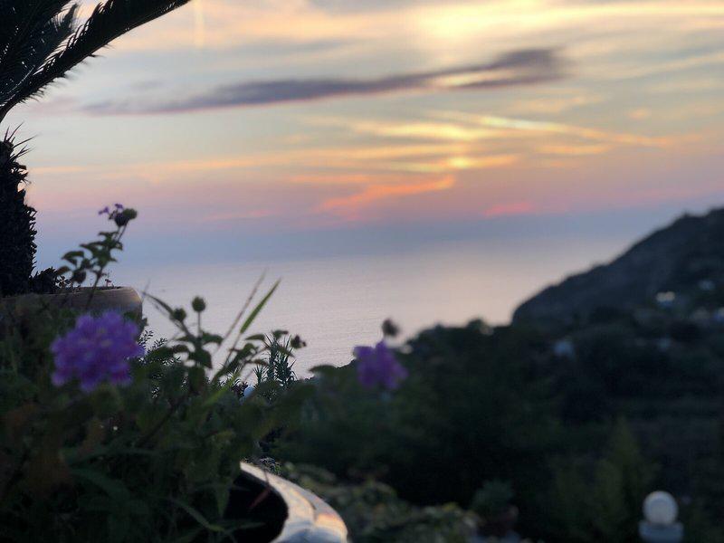 4FA4C7A35E13B91F4993D90D3826263F