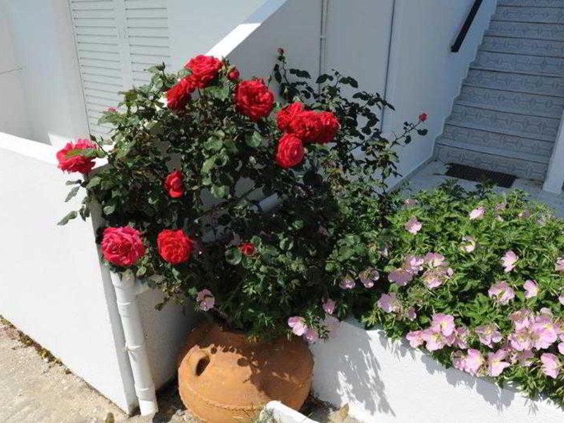 8106AF8586C58863CFD1120161D1057F