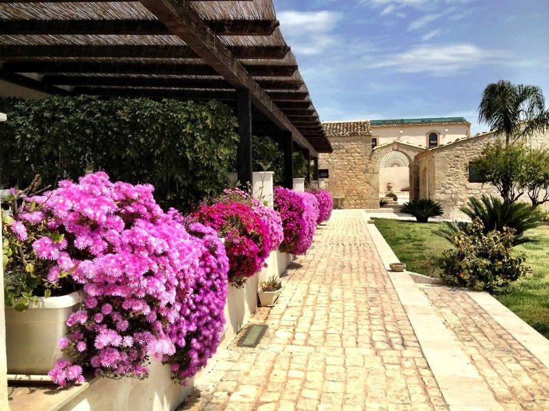 C6C2A387D8D9B8447803EB4F9D5FC057