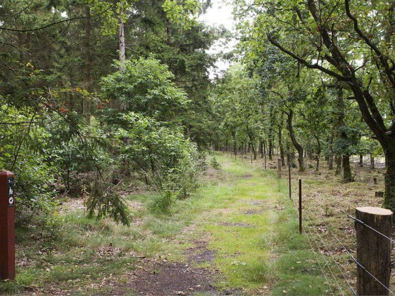 EE94AA03753B4A30F501BFC6D82FC616