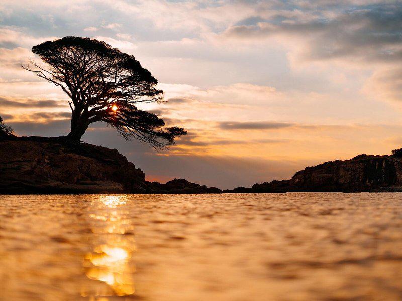 4E5FD01FFBA5997E001B78CAAA360FB7