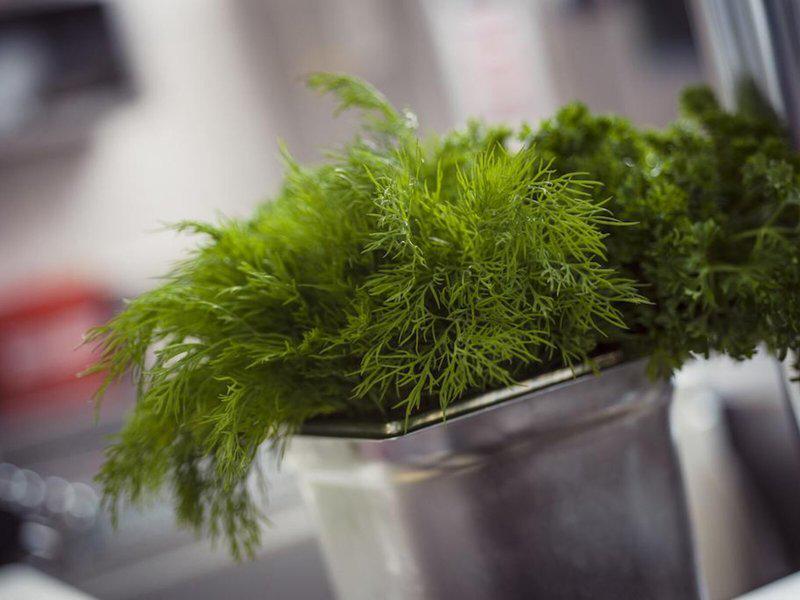 5230838D472FF617BC0AA89DC4DCC019