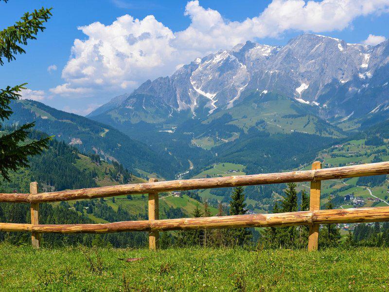 FBC2B3E1CCEC4444B2CCF838E7955CCD