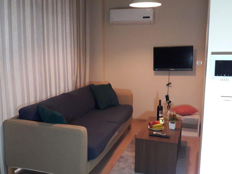 519776378F5B0C65D4F8C0DA889AD100