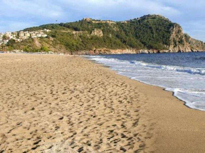 80318D7B9597F80F90DCF05B67DEC2A5