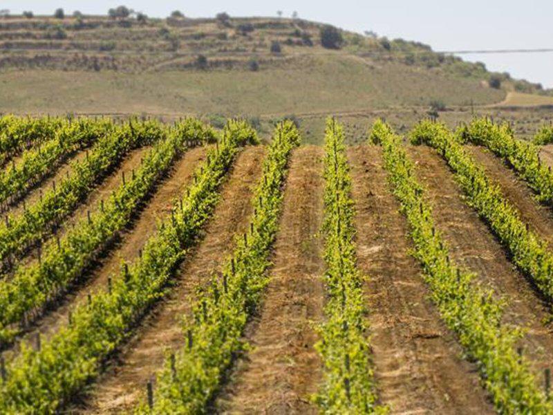 95CE31718B2A83A4962D0A0413974DC7