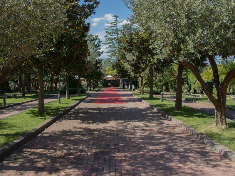 EB8BAFD73BD387F74B1B7AECEB997729