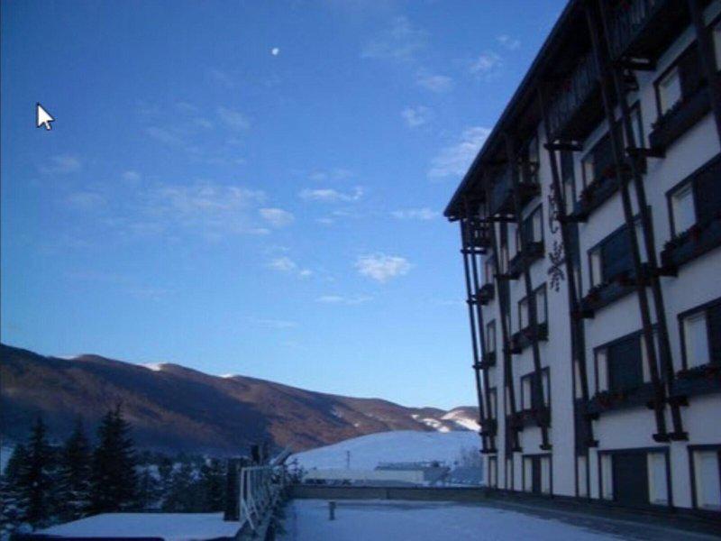 8C0D7702783E87F463590E00FBC2D2F6