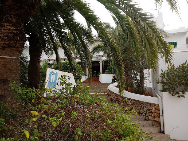 Oasis D or