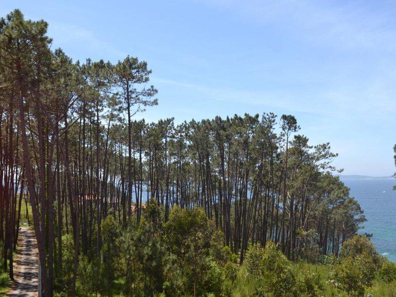 6BCDA6115DEB0F7DC4ACCA1CB1FC0BF0