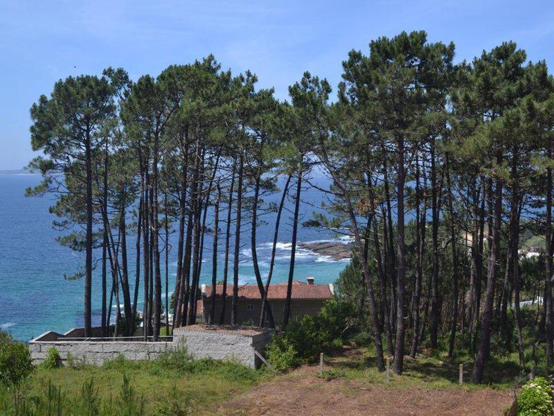 D37B98B96FC3E782939E0F1D84D28588