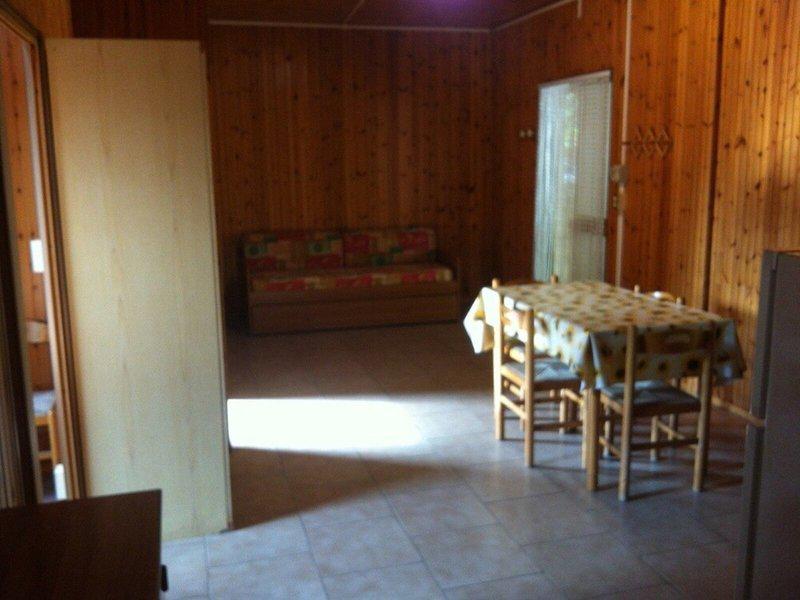 F00506A501F7DF6C55A2A773525CC446