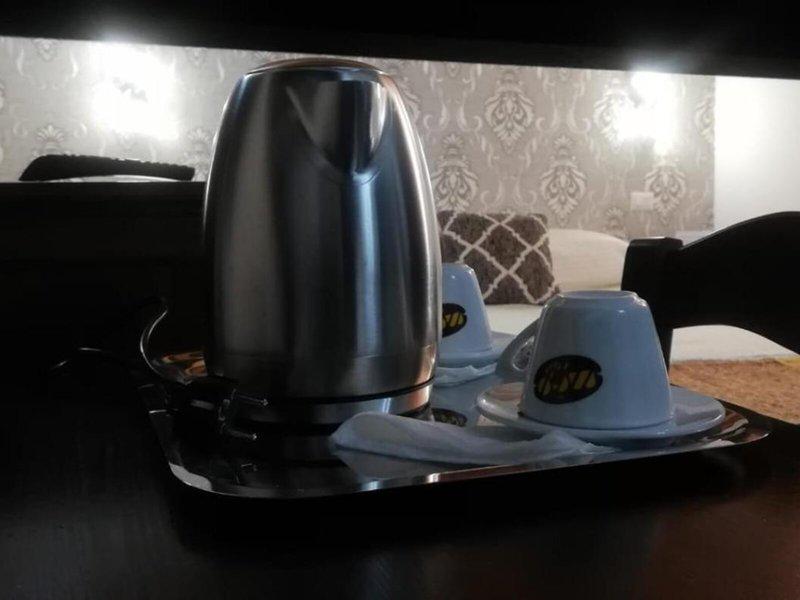 48A2562223341CCB96505C7A1E7BB211