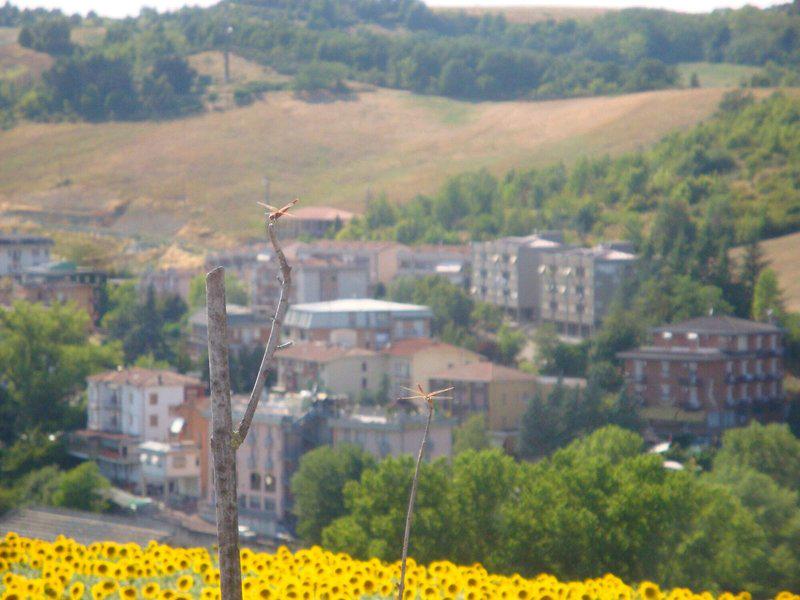 4E22A0359A2B95AB2A5B749713092810