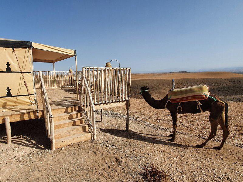 B61C3AC2A078B6D823B416FA2AE351B4