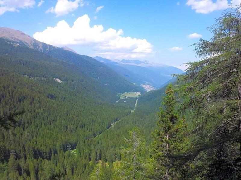 10C27D2085D306415FA40CE32C5C59E8