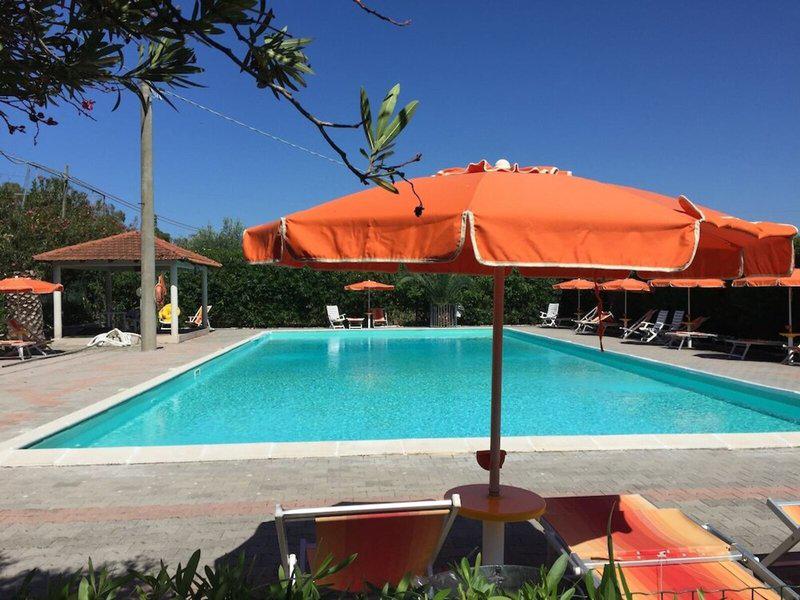 2FC0F8A946A87979B0000D24A9FDBBE2