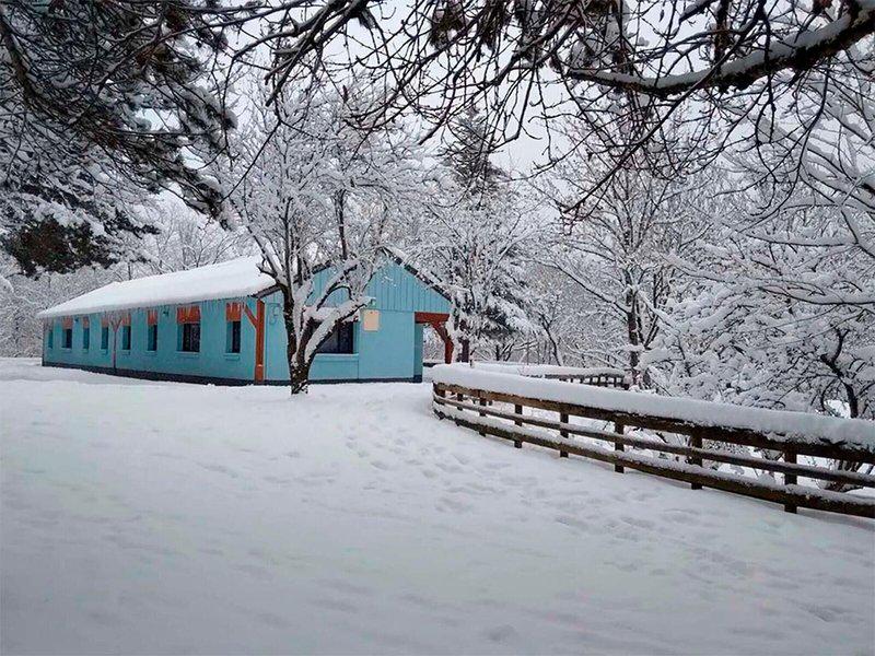 7E226508A26A43797A66F7AFED8135A3