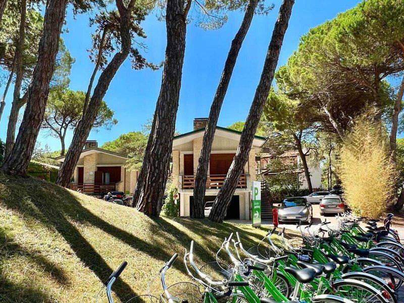 1B42C90E2210138DC3AC74C17A99A086