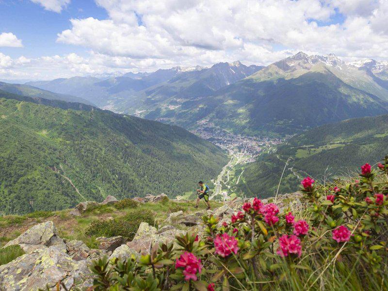 CF2AB281797469825ABF25482955A96A